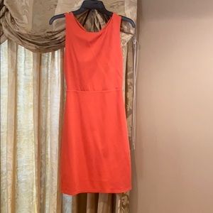 Dress Alice and Olivia cotton dress